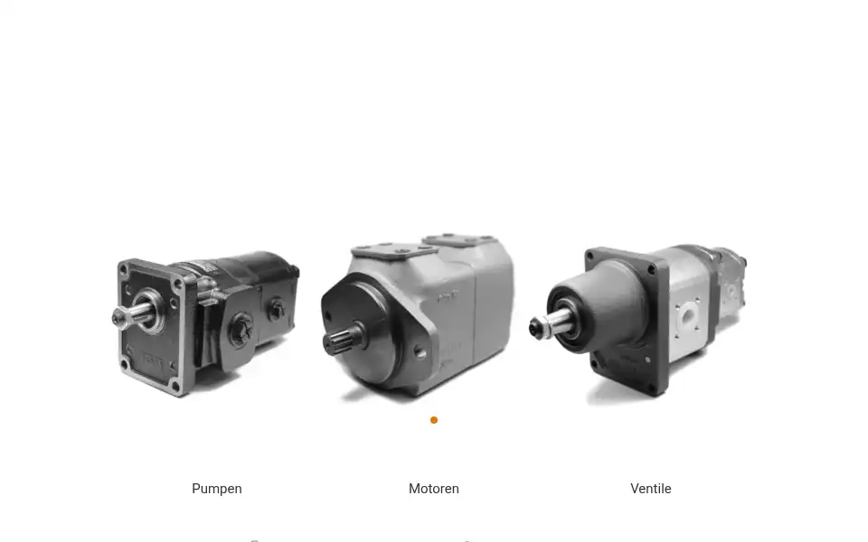 Screenshot of lutz-hydraulik.biz