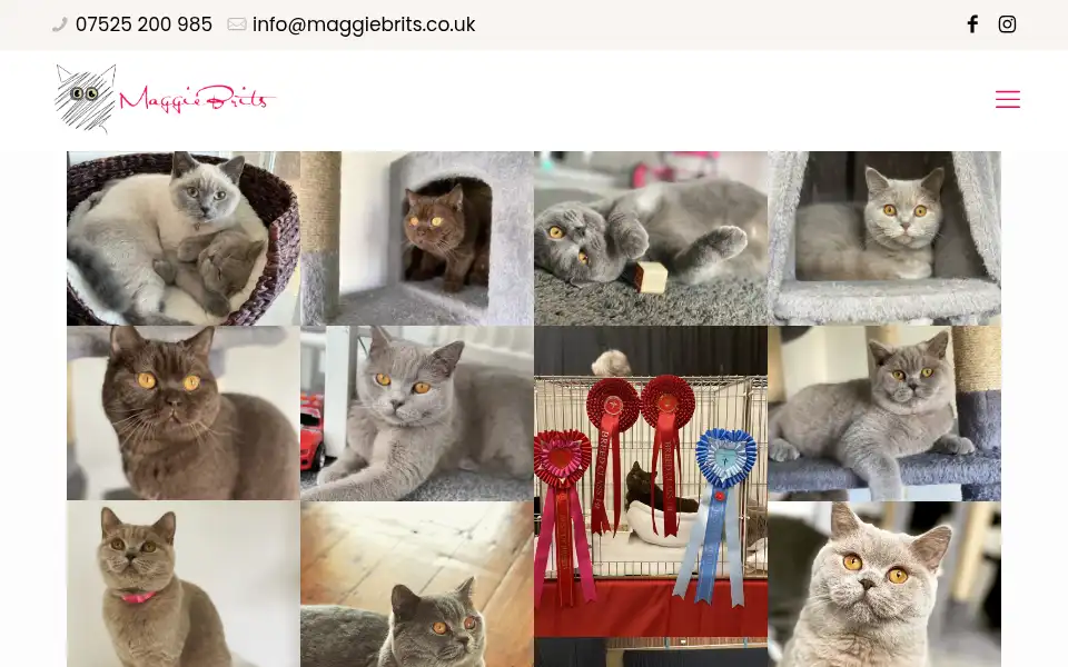 Screenshot of maggiebrits.co.uk