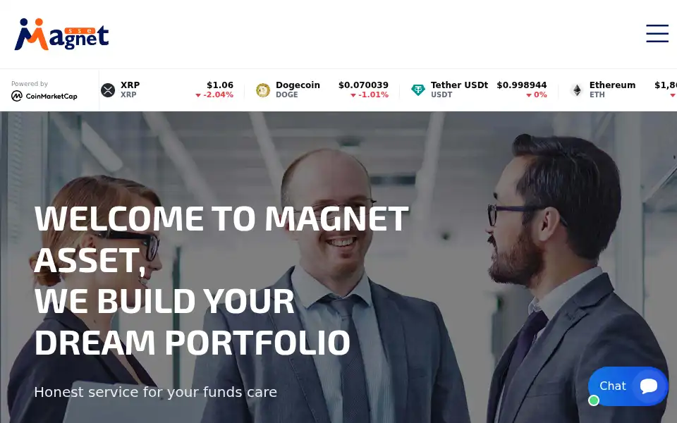 Screenshot of magnetasset.com