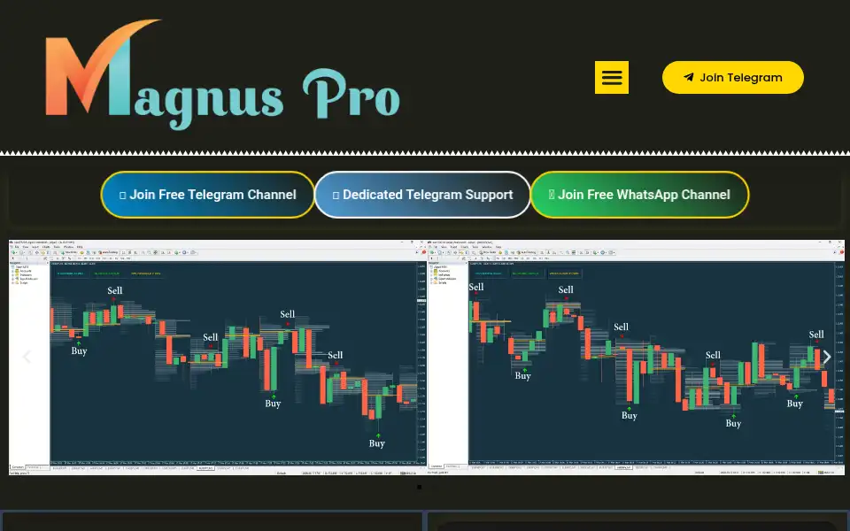 Screenshot of magnuspro.shop