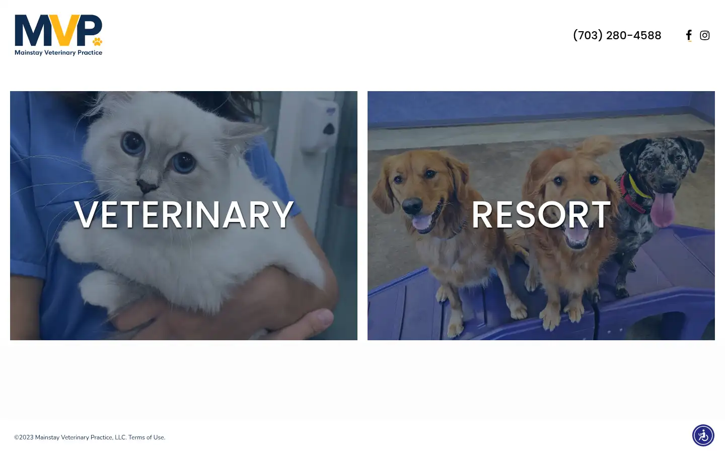 Screenshot of mainstayvet.com