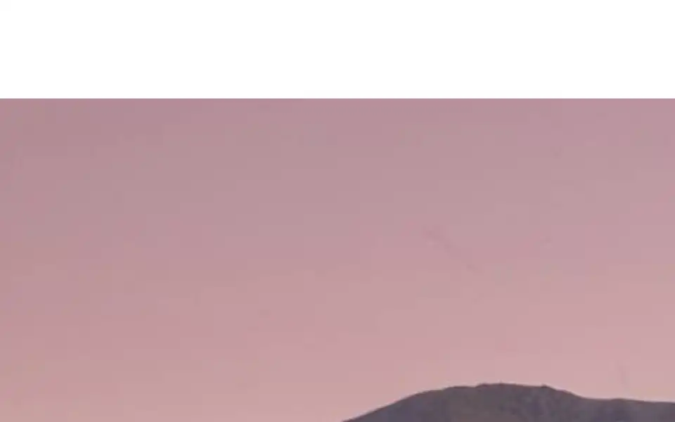 Screenshot of majordomo.co.nz