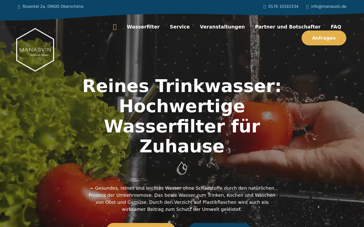 Screenshot of manasvin.de