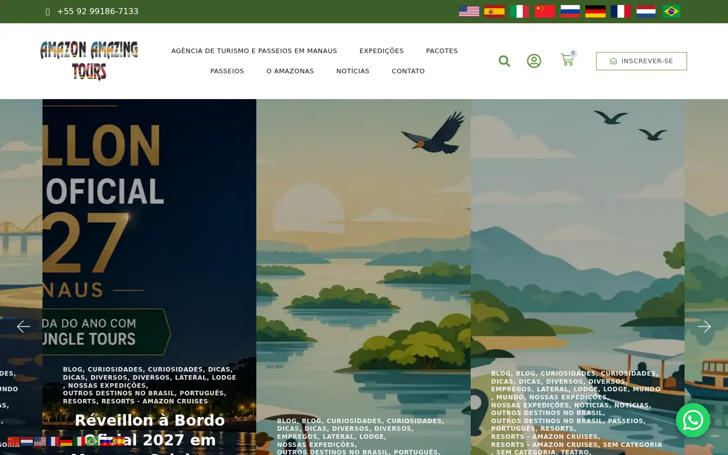 Screenshot of manausjungletours.com