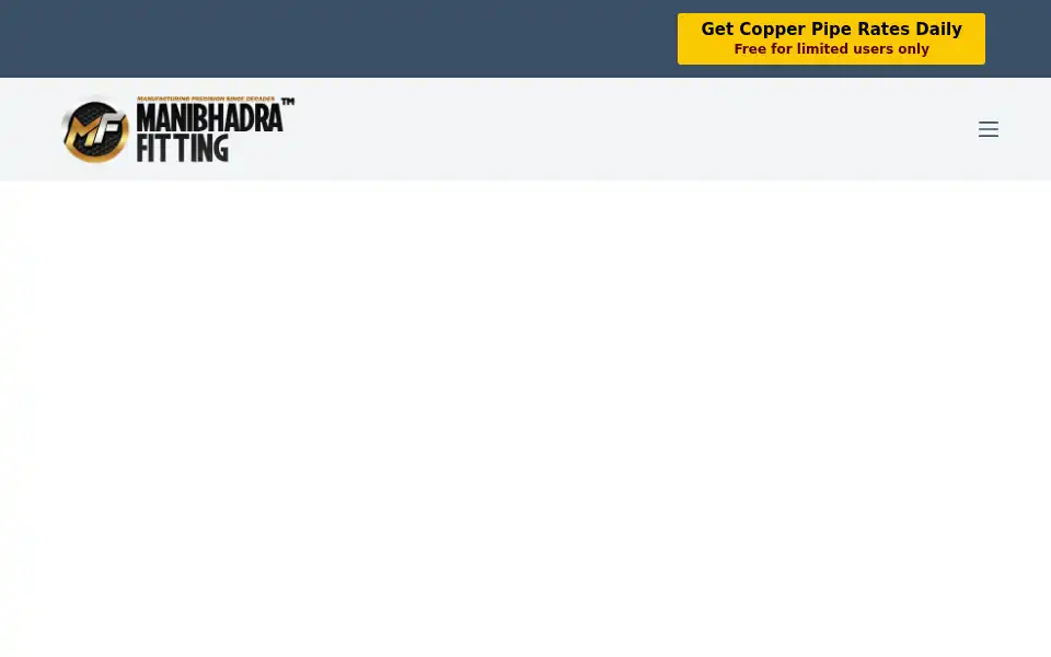 Screenshot of manibhadrafittings.com