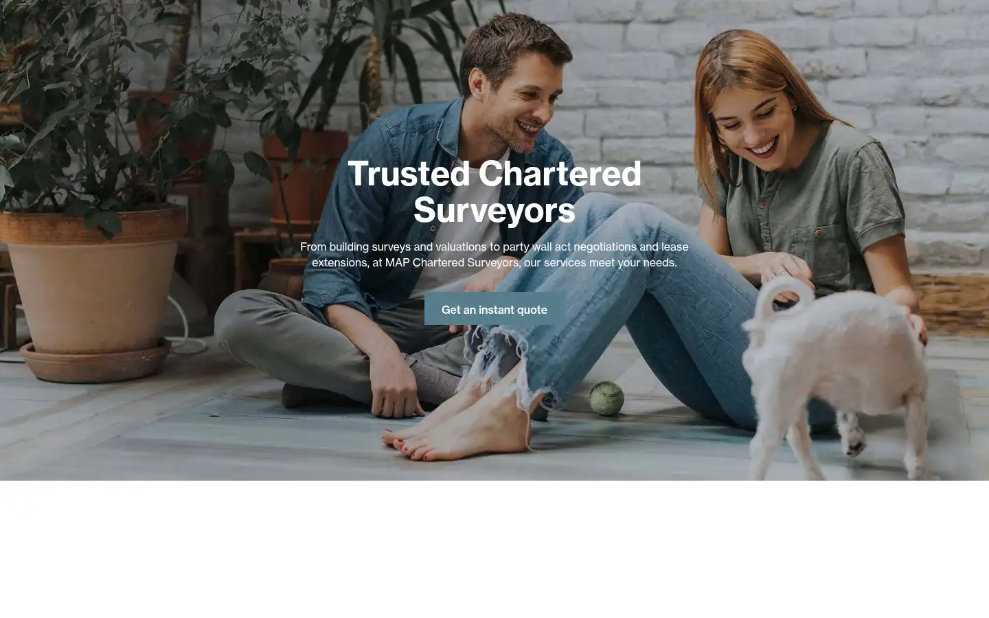 Screenshot of mapsurveyors.co.uk