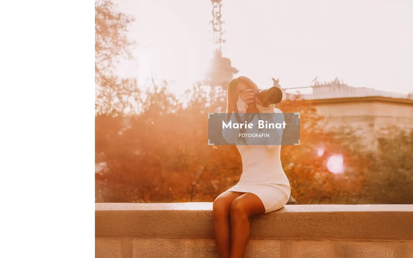 Screenshot of mariebinat.com