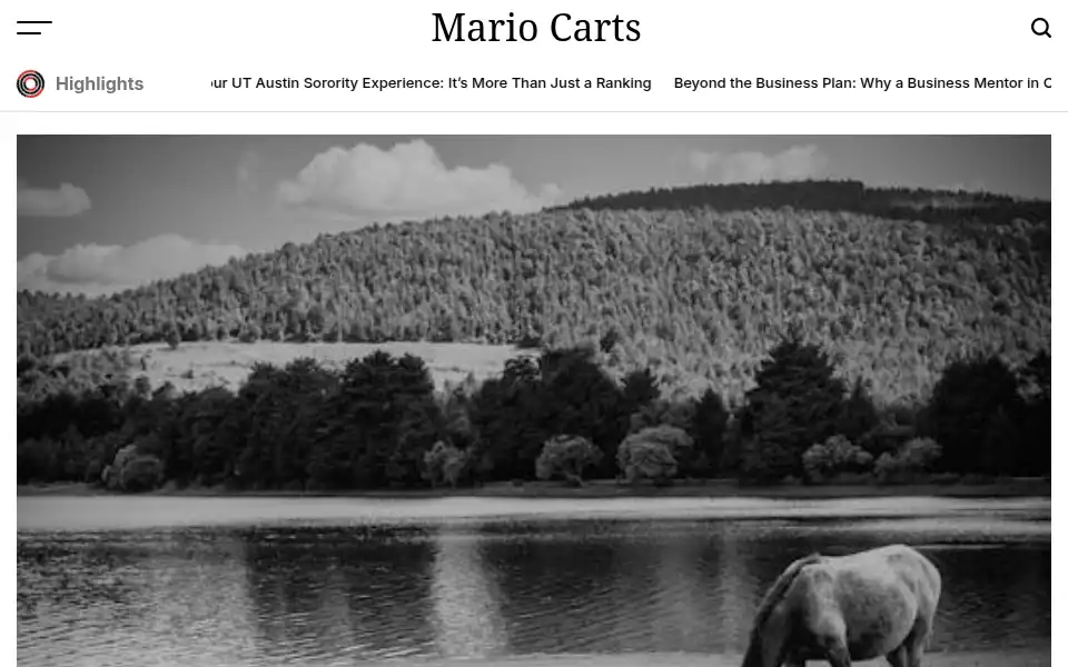 Screenshot of mariocarts.org