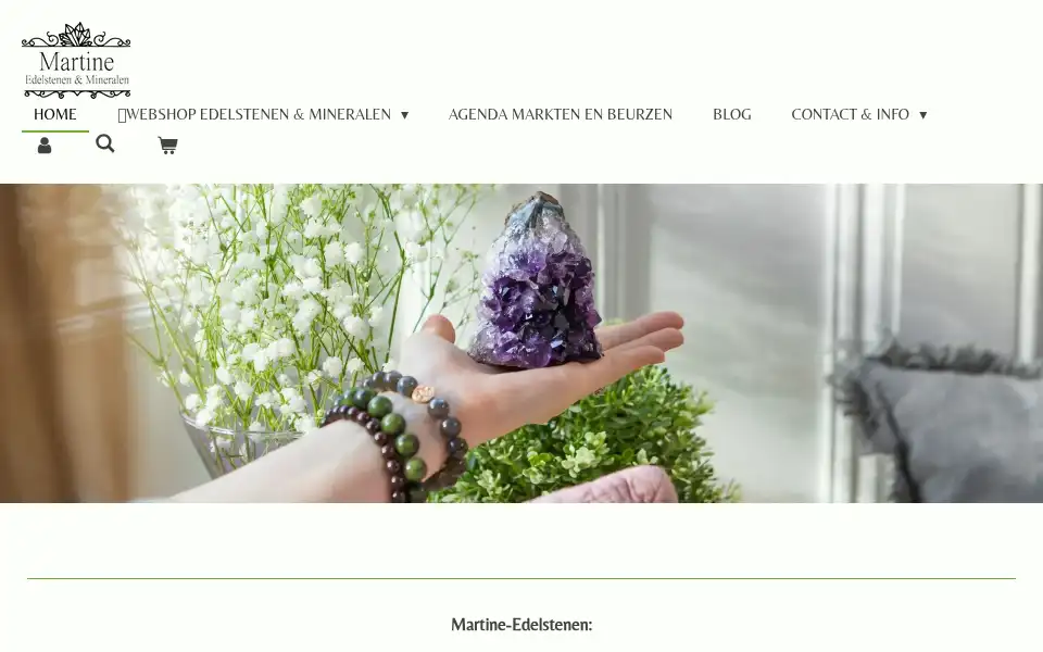 Screenshot of martine-edelstenen.nl