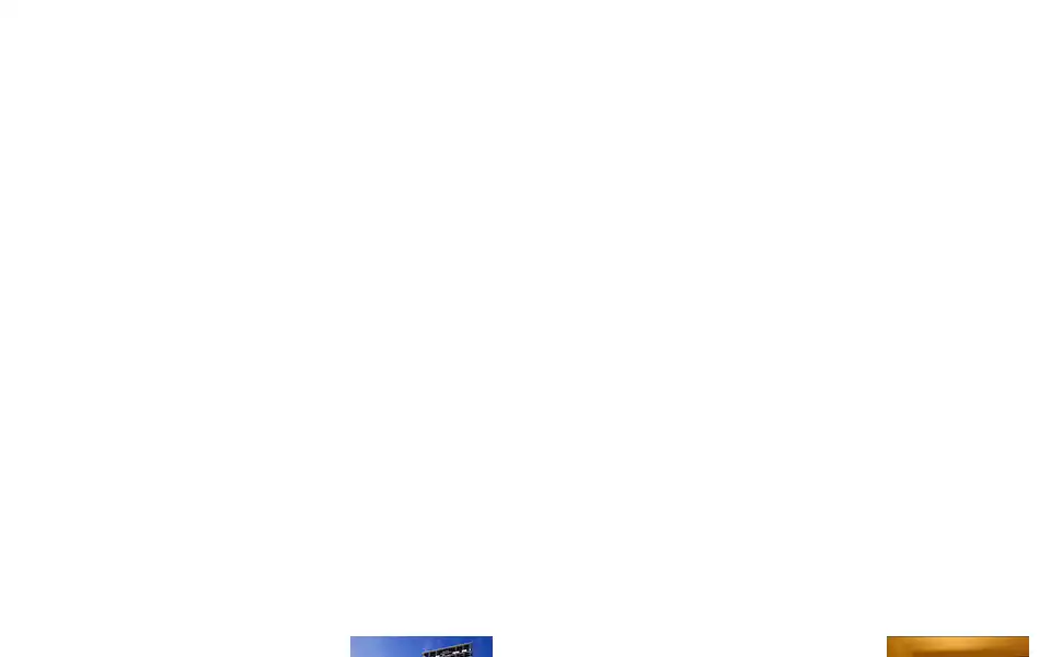 Screenshot of maruitocorp.co.jp