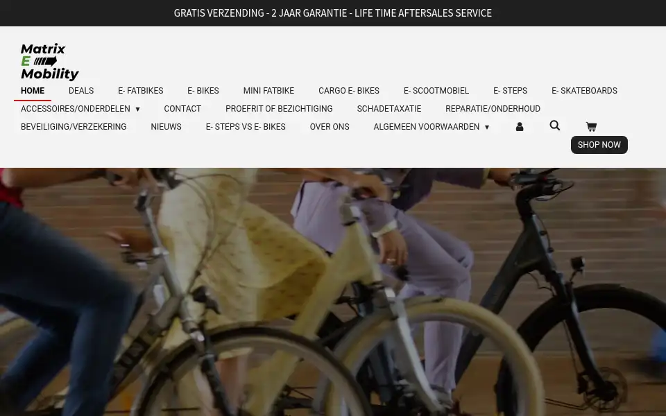 Screenshot of matrixemobility.com