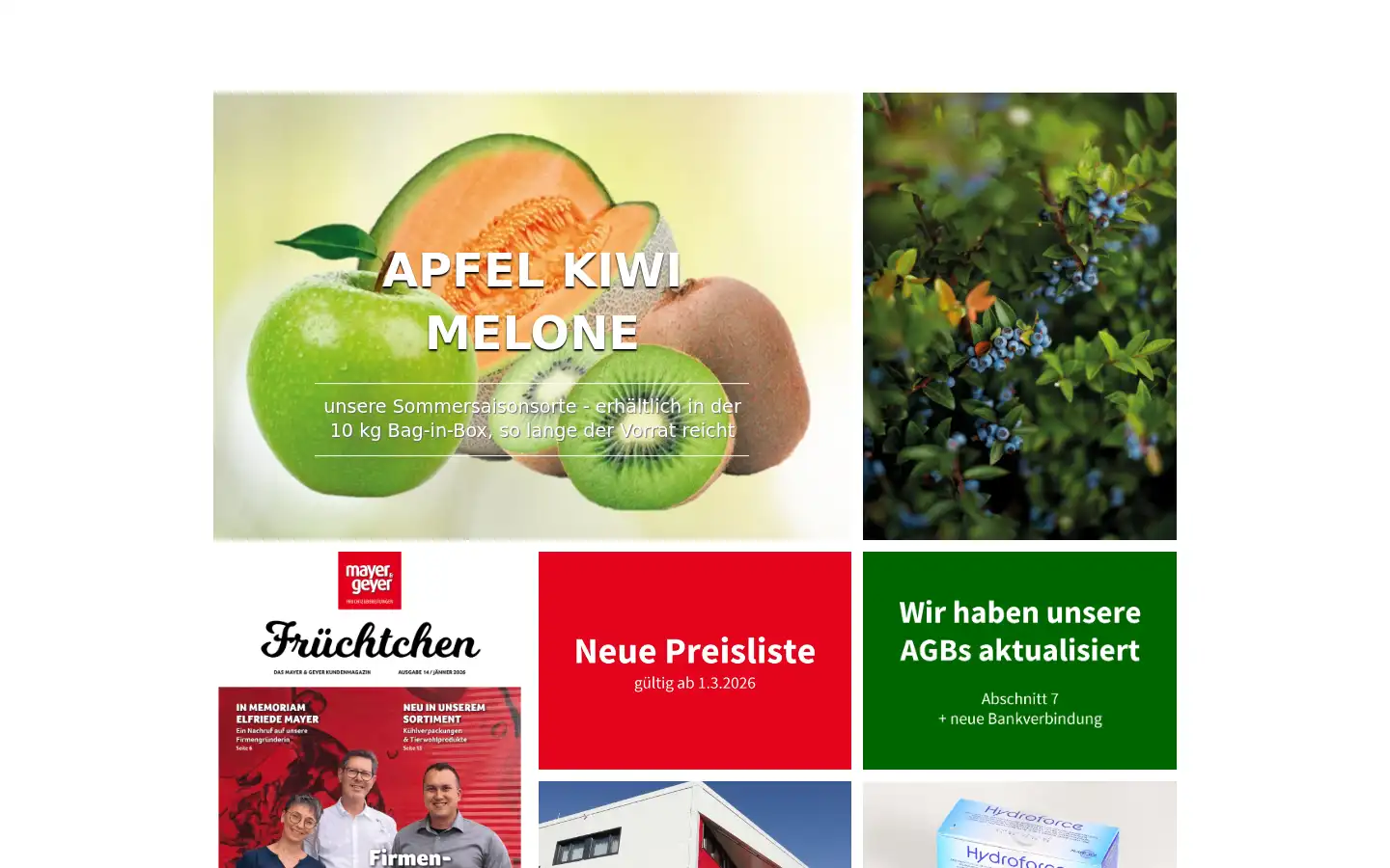 Screenshot of mayergeyer.at