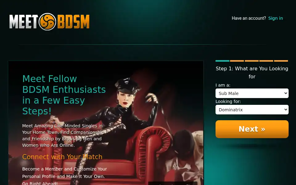 Screenshot of meetbdsm.com