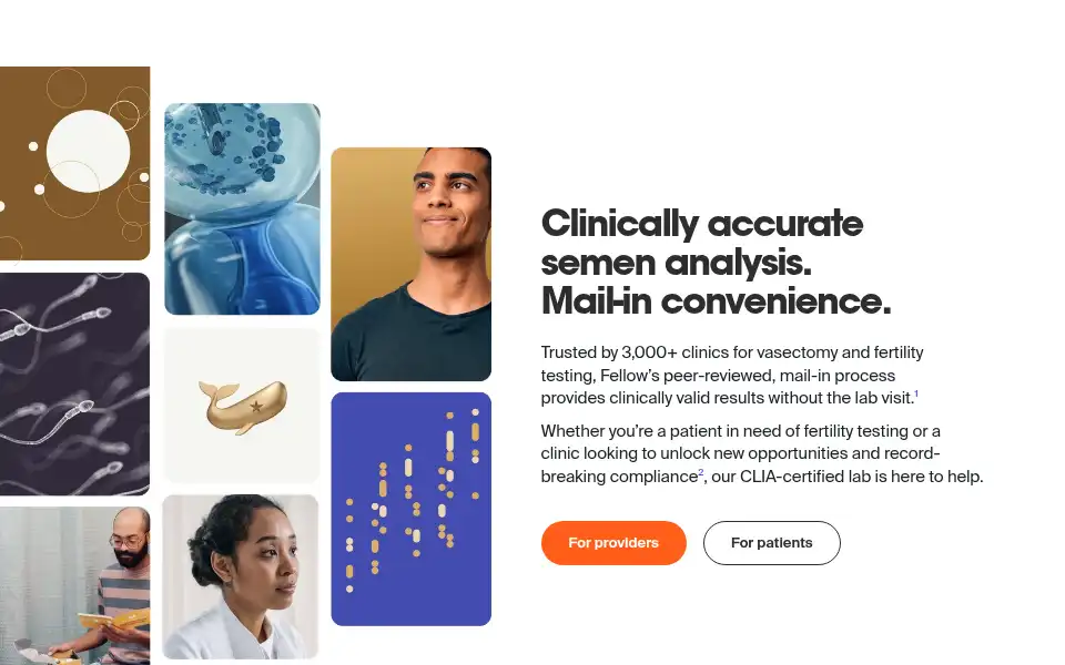 Screenshot of meetfellow.com