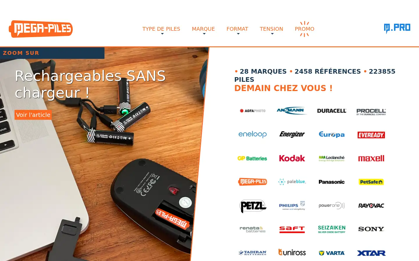 Screenshot of mega-piles.com