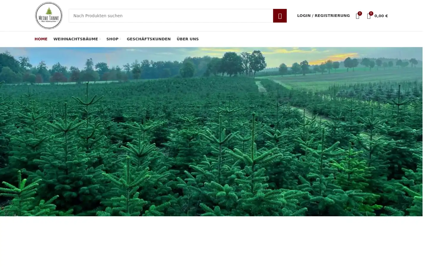 Screenshot of meinetanne.de