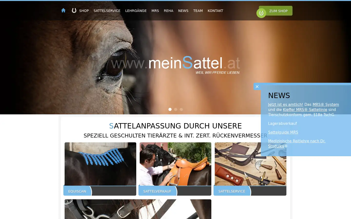 Screenshot of meinsattel.at