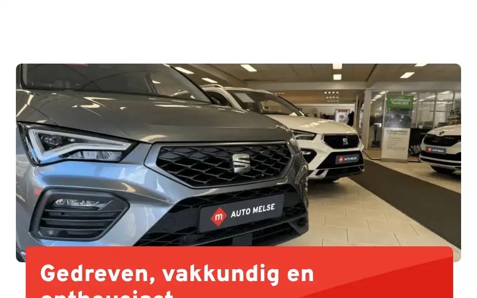 Screenshot of melse.nl