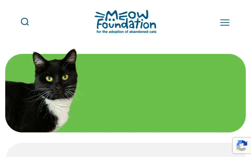 Screenshot of meowfoundation.com