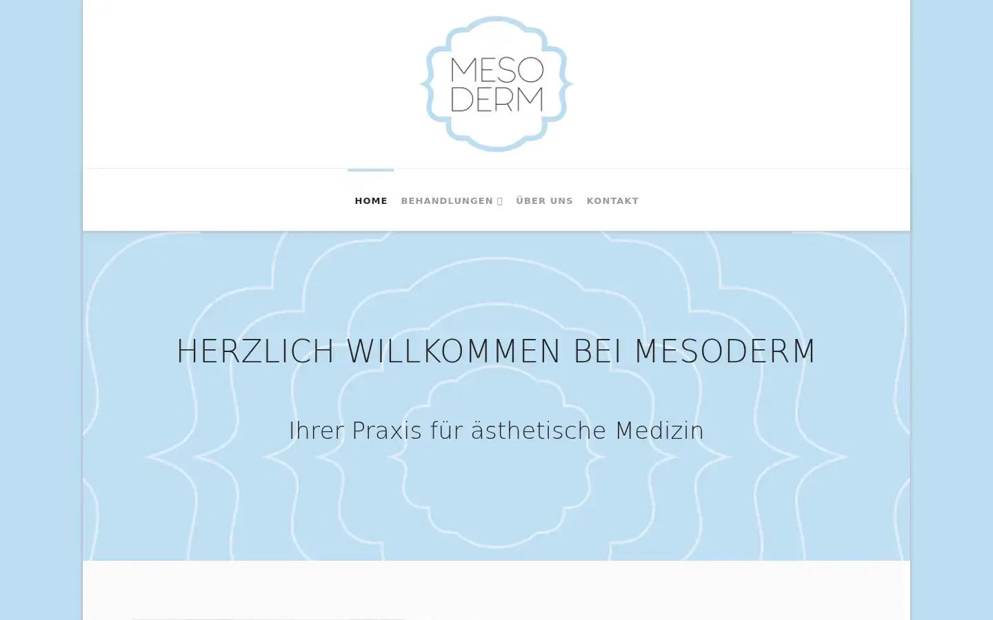 Screenshot of mesoderm.de
