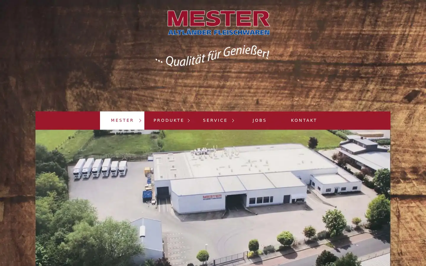 Screenshot of mester-gmbh.de