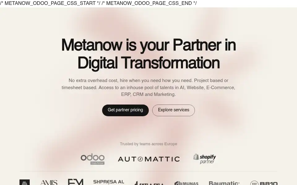 Screenshot of metanow.dev