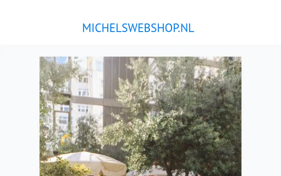 Screenshot of michelswebshop.nl
