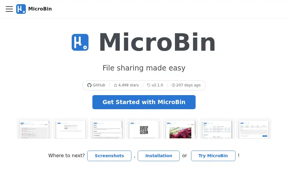 Screenshot of microbin.eu