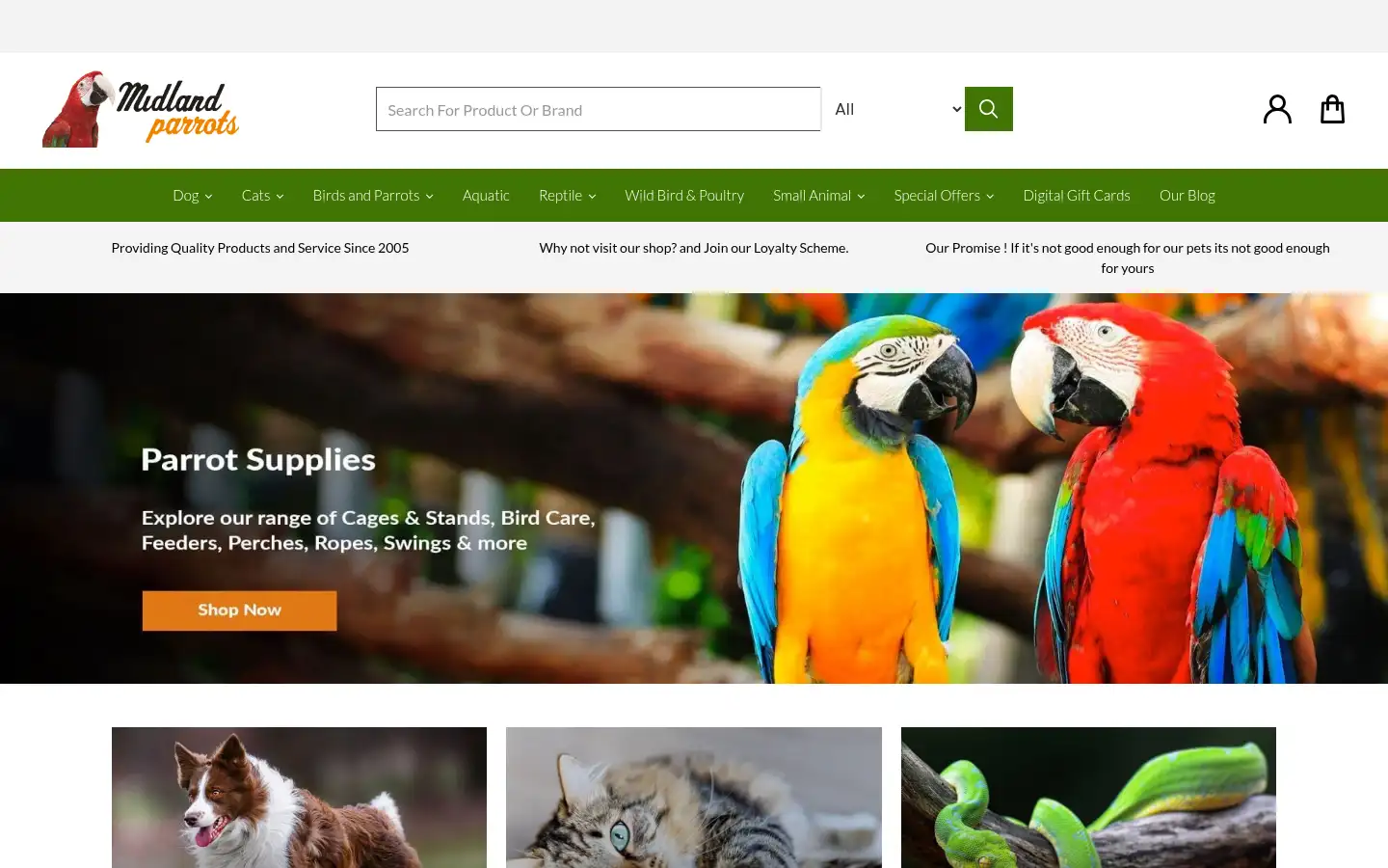 Screenshot of midlandparrots.com