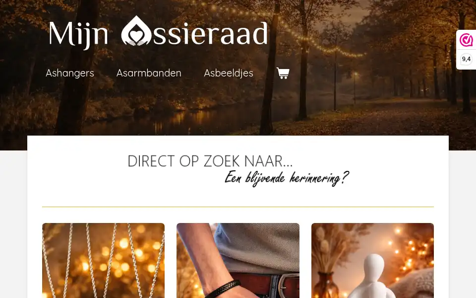 Screenshot of mijnassieraad.nl
