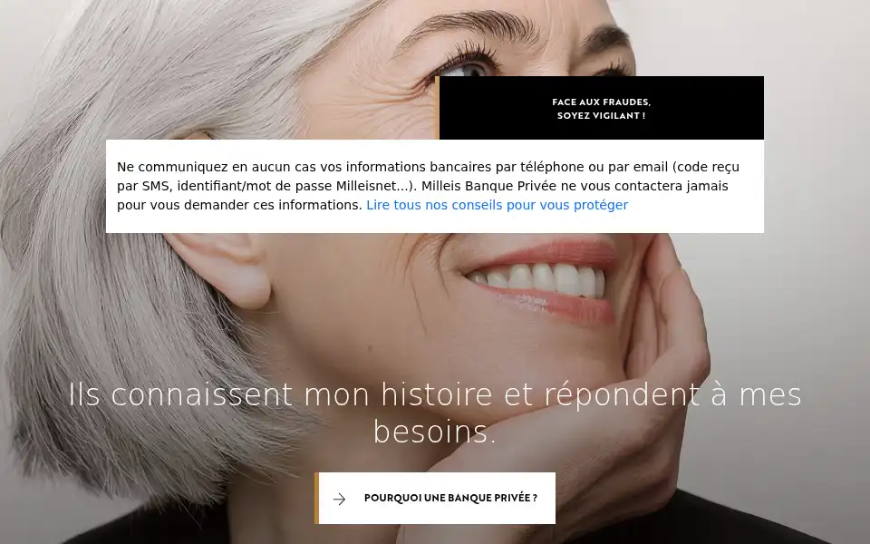 Screenshot of milleis.fr