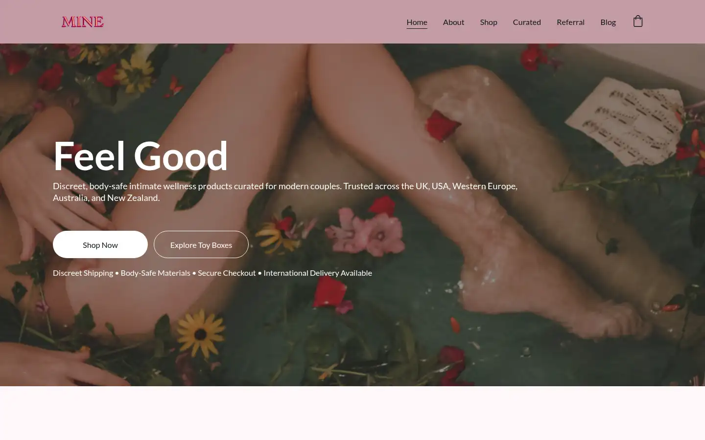 Screenshot of minetoybox.com