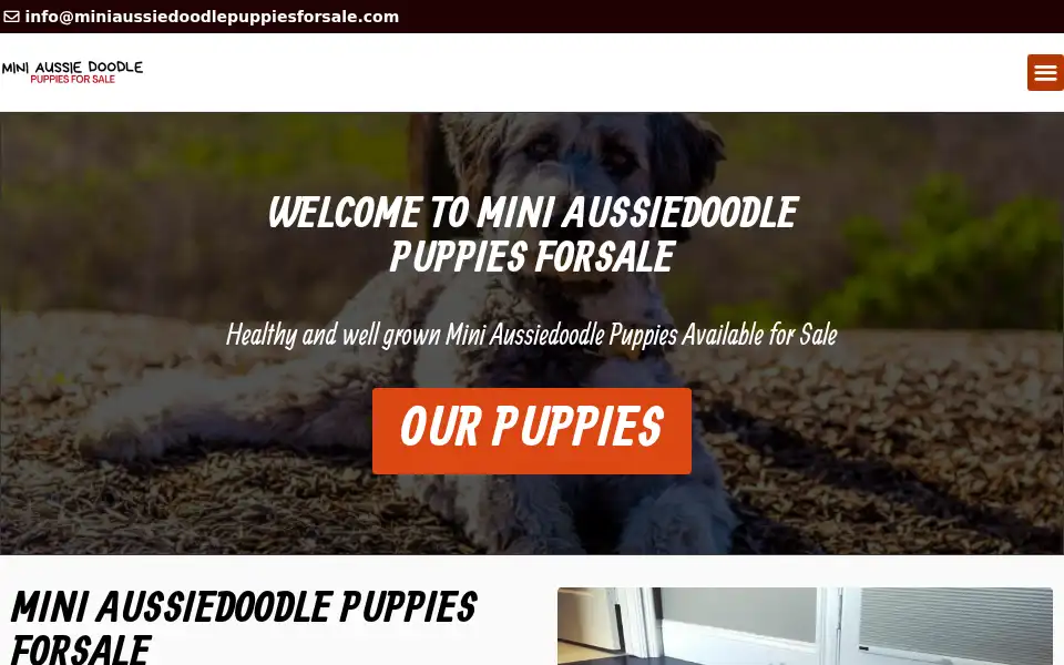 Screenshot of miniaussiedoodlepuppiesforsale.com