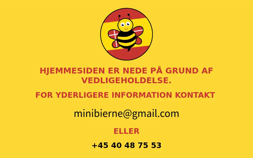 Screenshot of minibierne.com