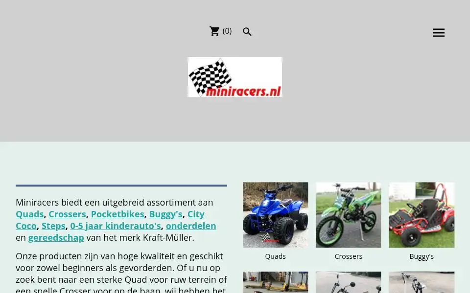 Screenshot of miniracers.nl