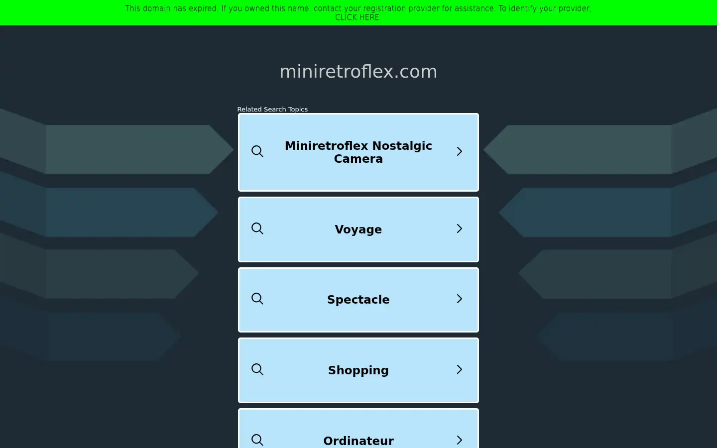 Screenshot of miniretroflex.com