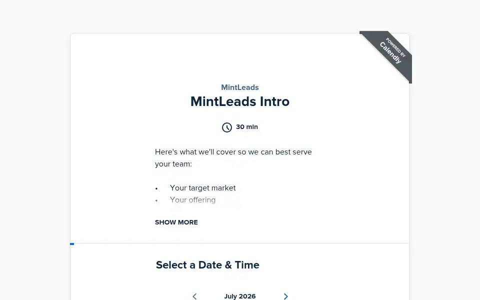 Screenshot of mintleads.io