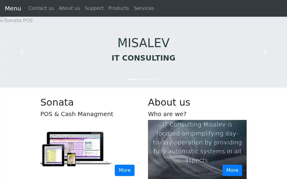 Screenshot of misalev.com