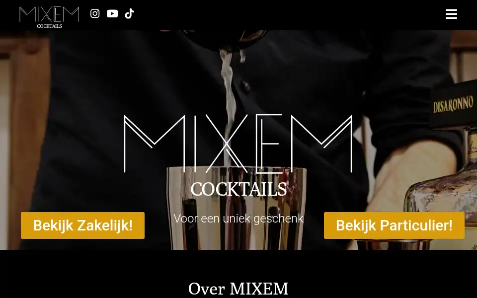 Screenshot of mixem.nl