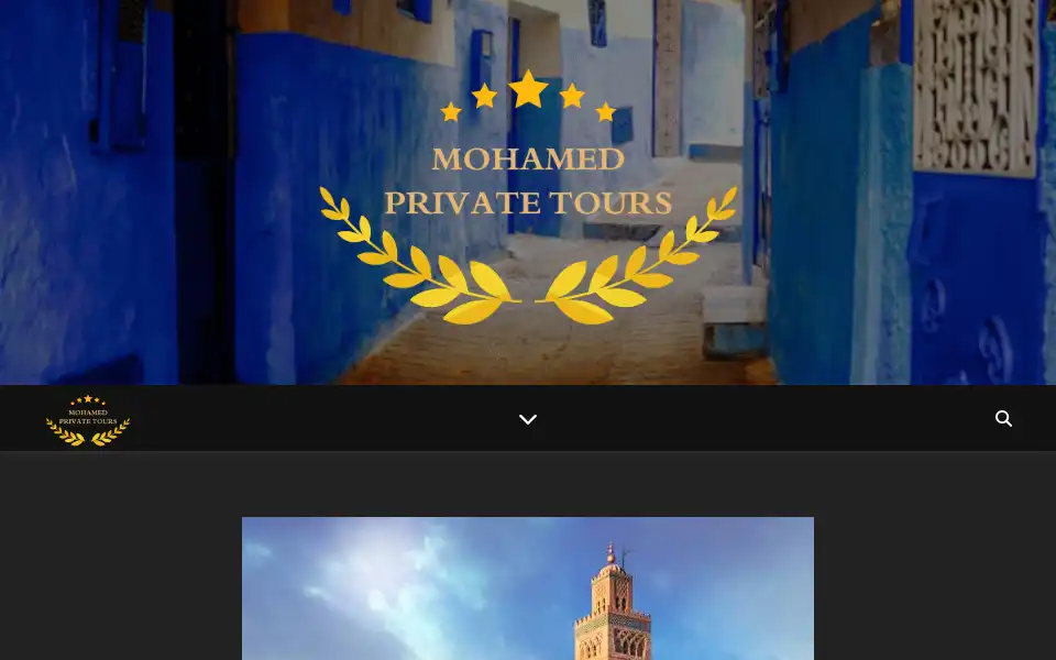 Screenshot of mohamedprivatetours.com