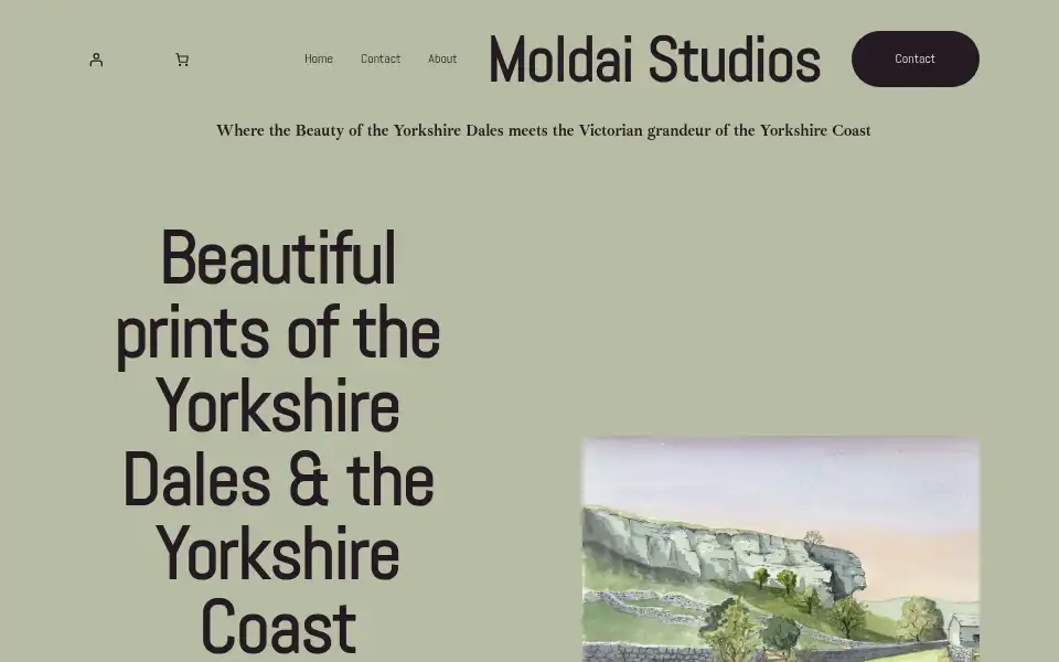 Screenshot of moldaistudios.com