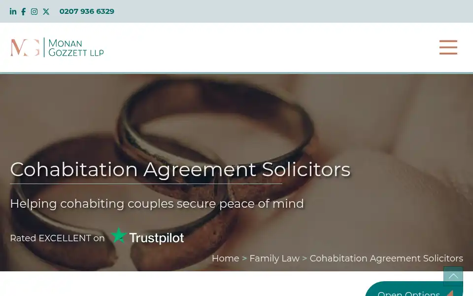 Screenshot of monangozzett.com