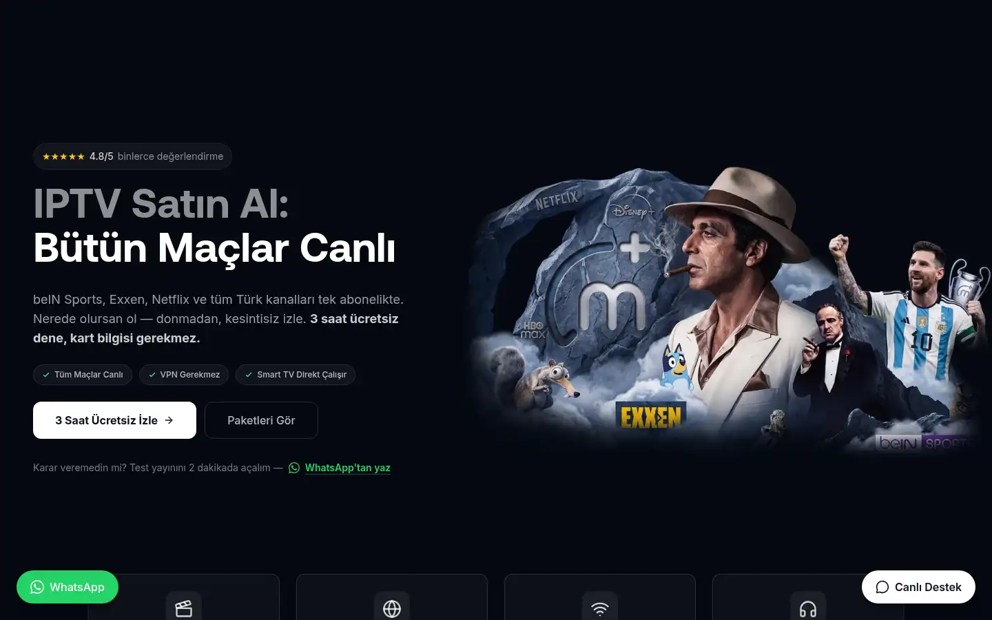 Screenshot of montanahd.com