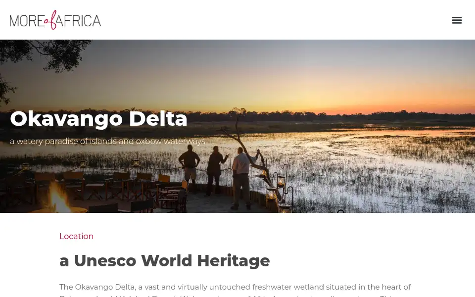 Screenshot of moreofafrica.com