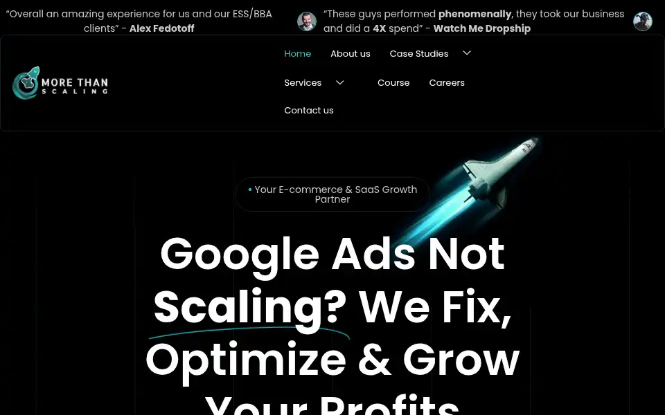 Screenshot of morethanscaling.com