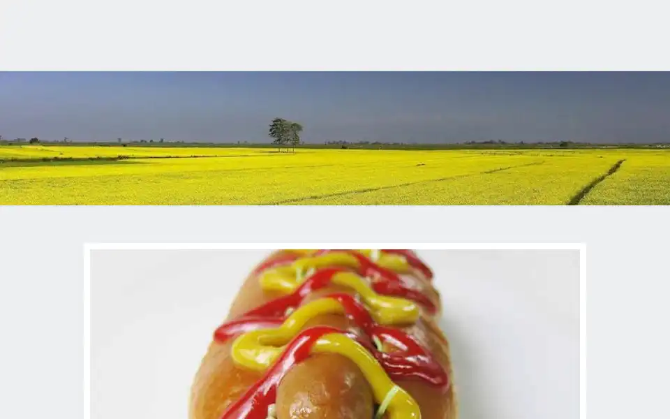 Screenshot of mosterdsaus.nl