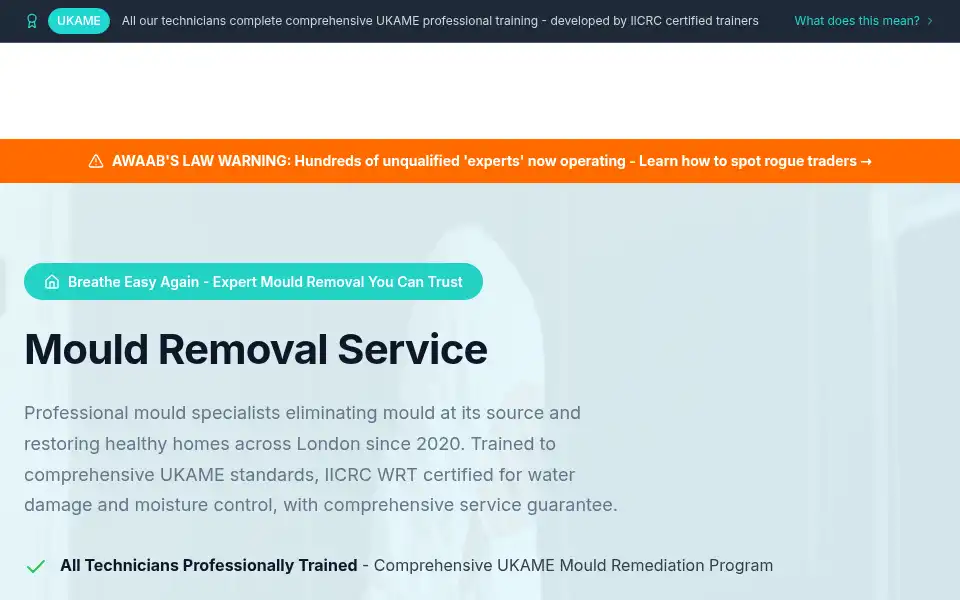 Screenshot of mouldremovallondon.co.uk