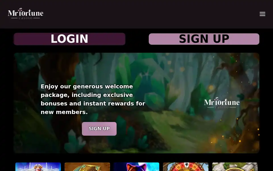 Screenshot of mr-fortune.com