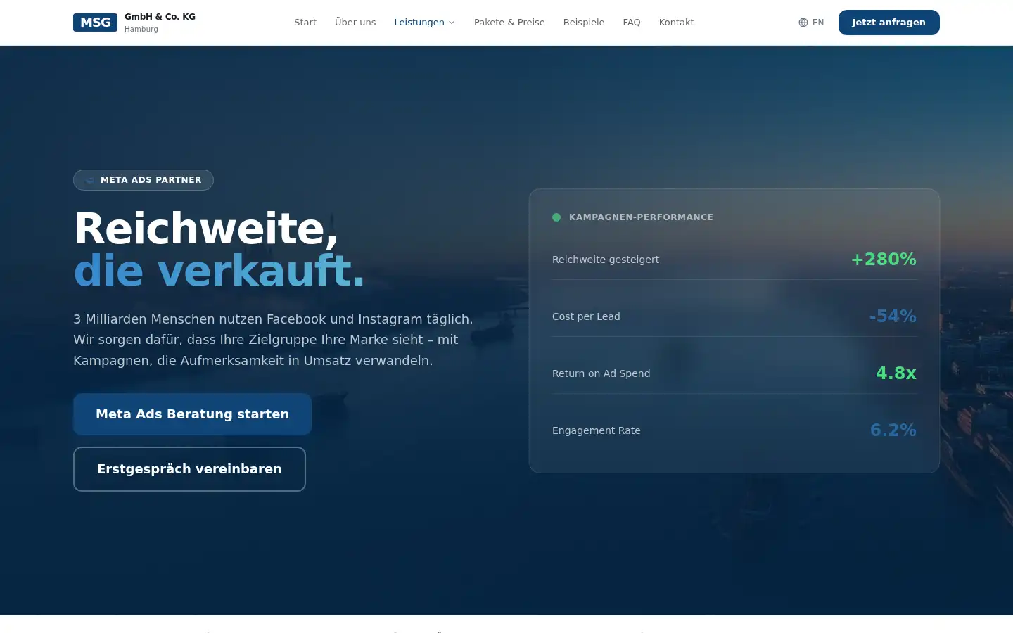 Screenshot of msg.biz