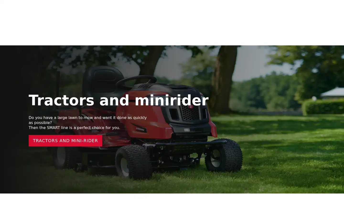 Screenshot of mtd-eu.com
